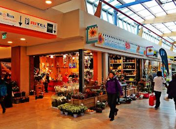 netherlands/delft/shop/de-hoven-passage