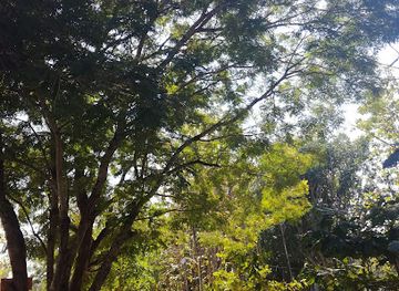 myanmar-burma/tanintharyi-region/shop/u-see-khin-store