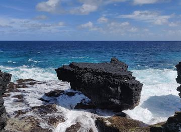 american-samoa/national-park-of-american-samoa/shop/turtle-and-shark