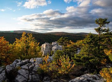 west-virginia/dolly-sods-wilderness/shop/dolly-sods-wilderness