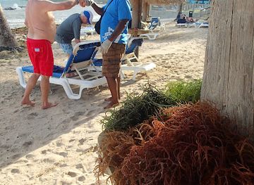 saint-lucia/tet-paul-scenic-trail/shop/golden-eye-s-handmade-wood-carvings