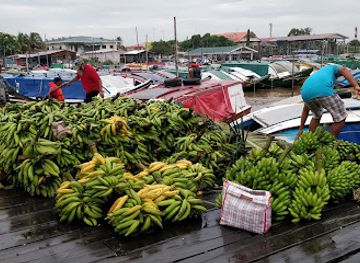 guyana/essequibo-river/shop/parika-ferry-stelling-east-bank-essequibo-guyana