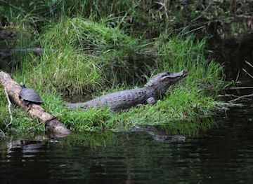 ecuador/pastaza-region/shop/yanacocha-wildlife-park