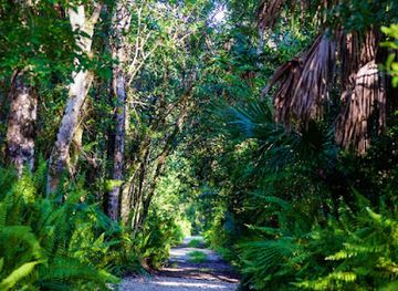 florida/fakahatchee-strand-preserve-state-park/shop/friends-of-fakahatchee