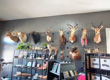 kentucky/louisville/shop/unorthodox