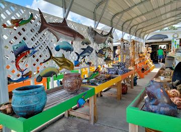 florida/crystal-river/shop/world-shells-treasure-chest