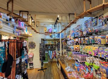 arkansas/eureka-springs/shop/tee-rex-toys-jayme-brandt-illustration-gallery