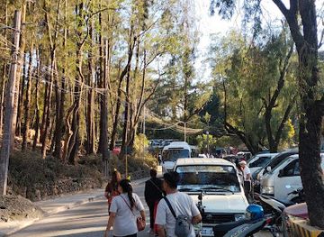 philippines/baguio/wright-park/shop/mayo-s-dry-goods-and-souvenirs