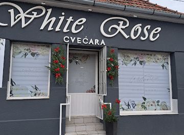 serbia/subotica/shop/white-rose-gift-shop-cvecara