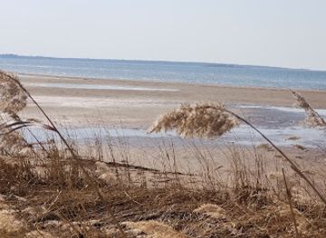 finland/archipelago-national-park/shop/selkameri-national-park-pori