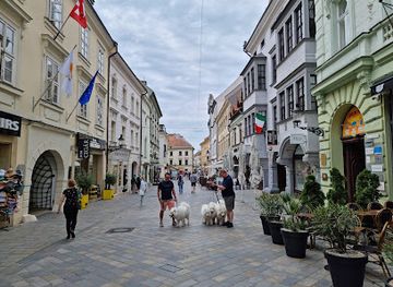 slovakia/bratislava/shop/in-vivo