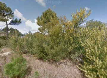 uruguay/cabo-polonio/shop/milton