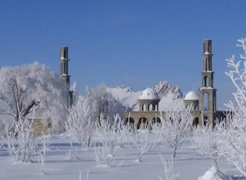 afghanistan/paktia/shop/sayed-karam-bazar