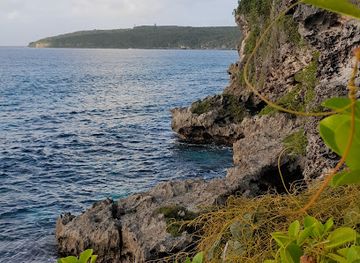 new-caledonia/mare/shop/marche-tenane