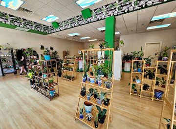 iowa/decorah/shop/driftless-botanicals