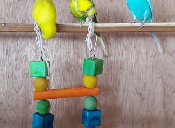 mauritius/port-louis/shop/concept-store