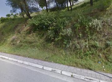 albania/tepelene/shop/market-pjerini