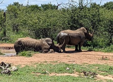 eswatini/hlane-royal-national-park/shop/hlane-royal-national-park