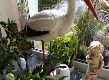 poland/bory-tucholskie/shop/jolojanex-dom-handlowy-mariola-pruszak