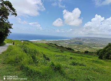 barbados/cherry-tree-hill/shop/cherry-tree-hill-reserve