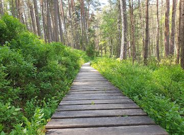 poland/kuyavian-pomeranian-lake-district/shop/park-narodowy-bory-tucholskie