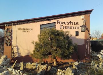 romania/brasov/stupini/shop/povestile-fierului-borsos-mihai-nicolae-i-i