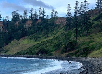 norfolk-island/ball-bay/shop/ball-bay