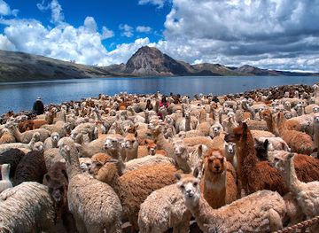 peru/ausangate-trek/shop/ausangate-adventure