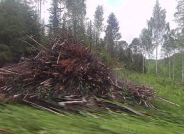 finland/koli-national-park/shop/happy-hoof-palvelut-kengattomille-hevosille