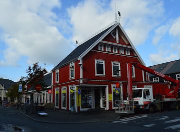 iceland/reykjavik-capital-area/shop/the-viking