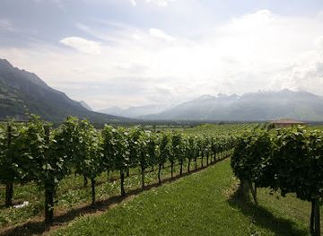 liechtenstein/eschen-region/shop/weinbau-hoop