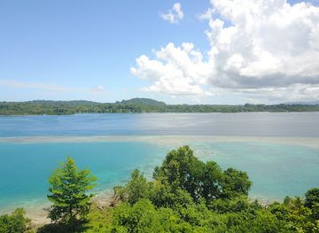 solomon-islands/new-georgia-islands/shop/dickson-technology