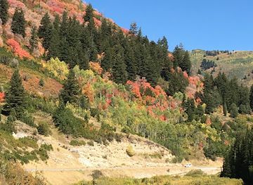 utah/snowbird-ski-resort/shop/cottonwood-canyons-realty