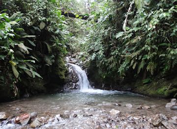 ecuador/mindo-cloud-forest/shop/reserva-las-tangaras
