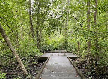 virginia/great-dismal-swamp-national-wildlife-refuge/shop/great-dismal-swamp-national-wildlife-refuge