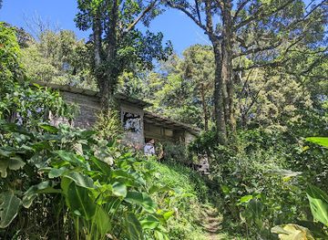costa-rica/monteverde-cloud-forest-biological-reserve/shop/sarah-s-gallery