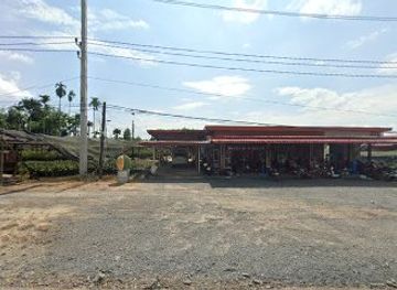 thailand/trat/shop/young-plant-shop