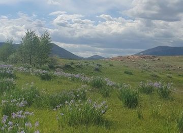 kazakhstan/bayanaul-national-park/shop/laim