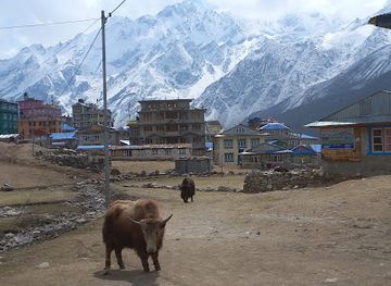 nepal/langtang-valley/shop/langtang-trek