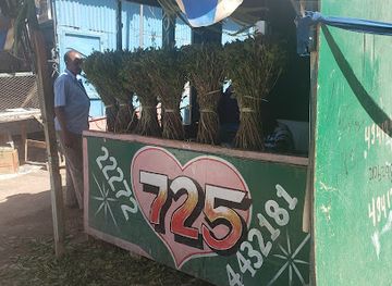 somalia/togdheer/shop/kolayga-maydhane