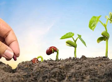 gabon/pongara-national-park/shop/cryptorcash