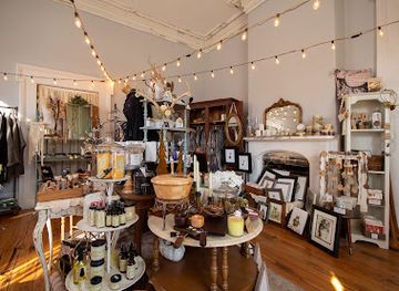 kentucky/paducah/shop/raven-moth