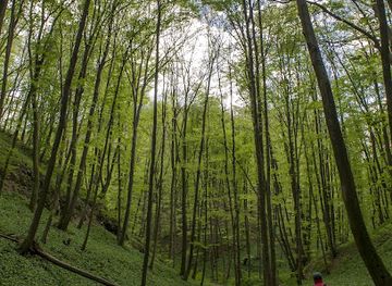 hungary/mecsek-mountains/shop/mecsek
