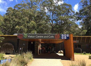 australia/mount-field-national-park/shop/waterfalls-cafe-and-gallery