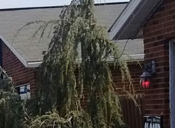 indiana/versailles-state-park/shop/saturday-s