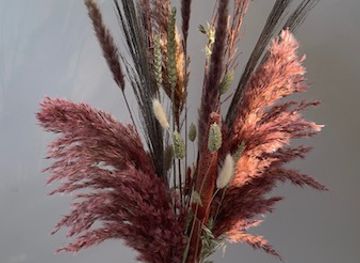 netherlands/delfland/shop/officiallygg-gracious-gifts