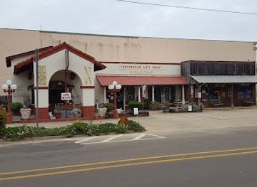 louisiana/caddo-lake/shop/yesteryear-gift-shop-classy-glitz-boutique