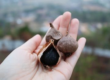 laos/savannakhet/shop/the-anything-store