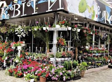 ukraine/transcarpathia/shop/kvitkovyy-mahazyn-romashka