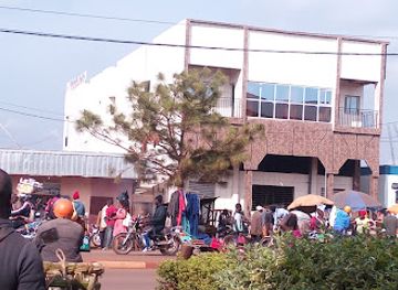 cameroon/mbouda/shop/poissonnerie-congelcam-mbouda